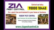 Rodent Control | Restaurant and Residence pest service 